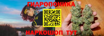 стафф Новозыбков