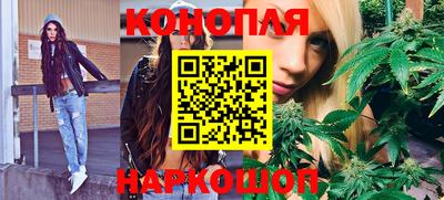 мдпв Новокубанск