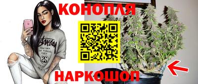 стафф Новозыбков