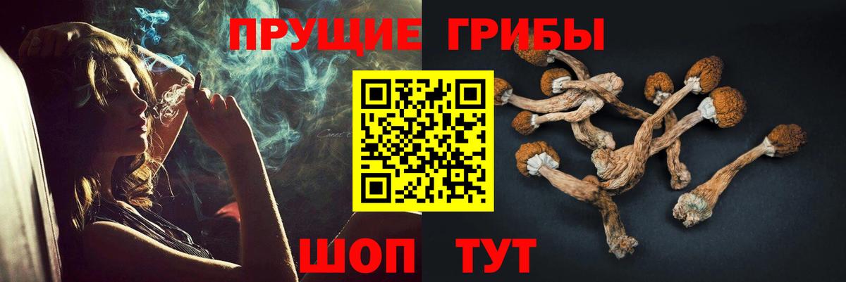 Сафоново  Галлюциногенные грибы мицелий  Вход с VPN  Галлюциногенные грибы GOLDEN TEACHER 