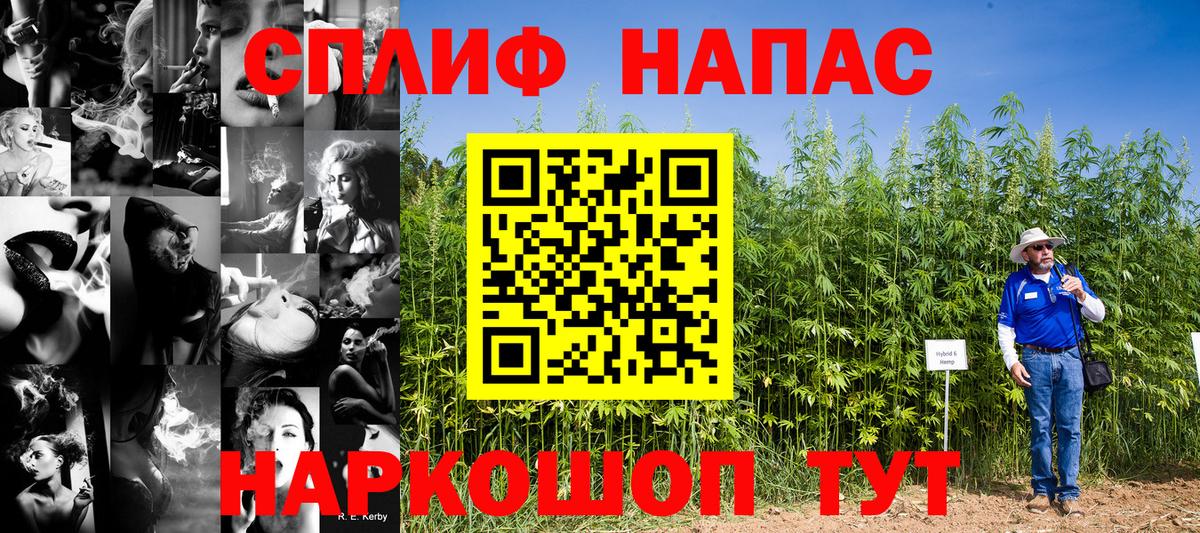 Бошки Шишки планчик  Бошки Шишки MAZAR  Вход с VPN  Сафоново 